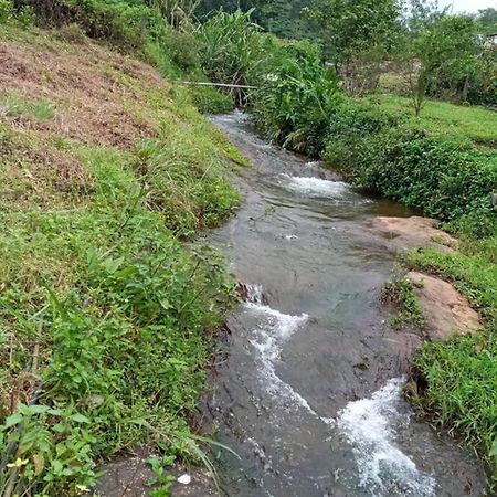 Farmstay In ചില്ലുകൂടാരം At Les Domki Et Al. วากามอน ภายนอก รูปภาพ