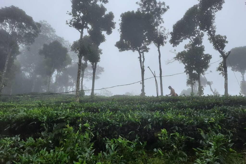 Farmstay In ചില്ലുകൂടാരം At Les Domki Et Al. วากามอน ภายนอก รูปภาพ